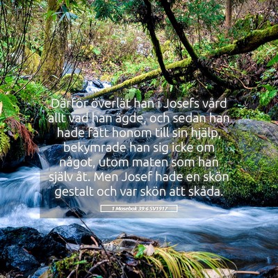 Picture 05 - 1 Mosebok 39:6 SV1917 - Därför överlät han i Josefs vård allt vad - Bible Verse Picture