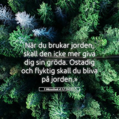 Picture 05 - 1 Mosebok 4:12 SV1917 - När du brukar jorden, skall den icke mer giva - Bible Verse Picture