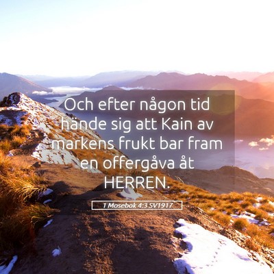 Picture 05 - 1 Mosebok 4:3 SV1917 - Och efter någon tid hände sig att Kain av - Bible Verse Picture