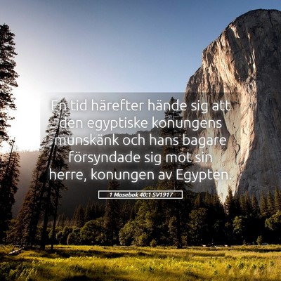 Picture 05 - 1 Mosebok 40:1 SV1917 - En tid härefter hände sig att den egyptiske - Bible Verse Picture