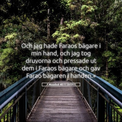 Picture 05 - 1 Mosebok 40:11 SV1917 - Och jag hade Faraos bägare i min hand, och jag - Bible Verse Picture
