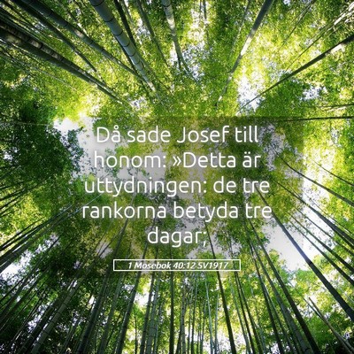 Picture 05 - 1 Mosebok 40:12 SV1917 - Då sade Josef till honom: »Detta är - Bible Verse Picture