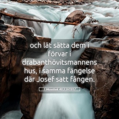 Picture 05 - 1 Mosebok 40:3 SV1917 - och lät sätta dem i förvar i - Bible Verse Picture