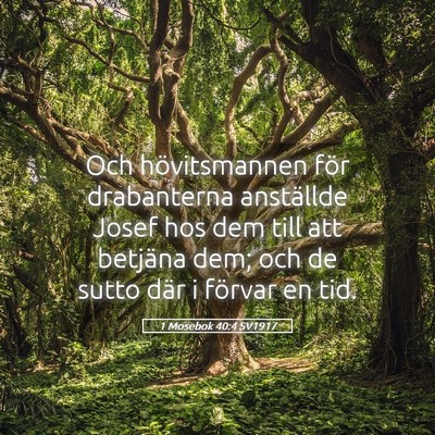 Picture 05 - 1 Mosebok 40:4 SV1917 - Och hövitsmannen för drabanterna anställde - Bible Verse Picture