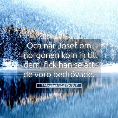 Picture 05 - 1 Mosebok 40:6 SV1917 - Och när Josef om morgonen kom in till dem, fick - Bible Verse Picture