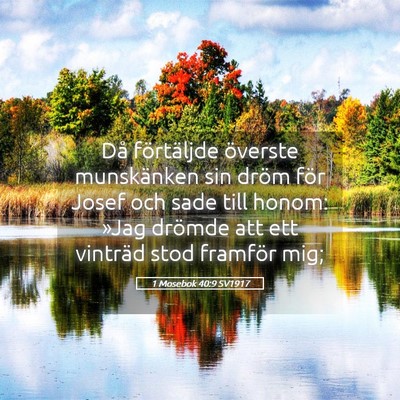 Picture 05 - 1 Mosebok 40:9 SV1917 - Då förtäljde överste munskänken sin dröm - Bible Verse Picture