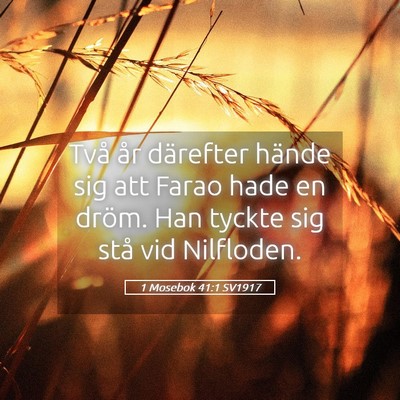 Picture 05 - 1 Mosebok 41:1 SV1917 - Två år därefter hände sig att Farao hade en - Bible Verse Picture