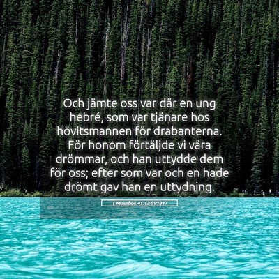Picture 05 - 1 Mosebok 41:12 SV1917 - Och jämte oss var där en ung hebré, som var - Bible Verse Picture