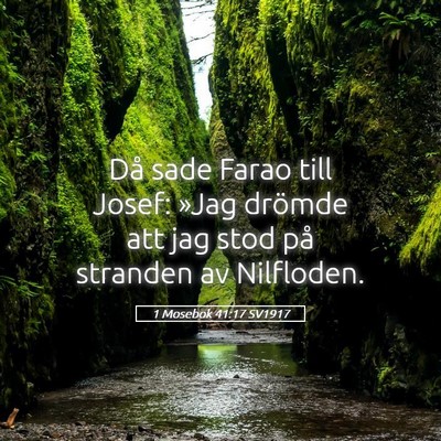 Picture 05 - 1 Mosebok 41:17 SV1917 - Då sade Farao till Josef: »Jag drömde att jag - Bible Verse Picture
