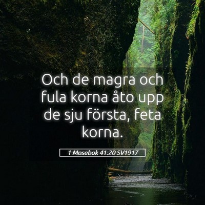 Picture 05 - 1 Mosebok 41:20 SV1917 - Och de magra och fula korna åto upp de sju - Bible Verse Picture
