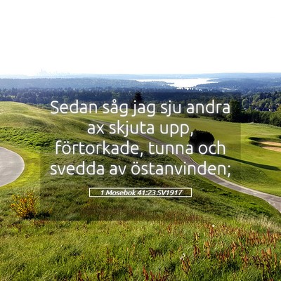 Picture 05 - 1 Mosebok 41:23 SV1917 - Sedan såg jag sju andra ax skjuta upp, - Bible Verse Picture