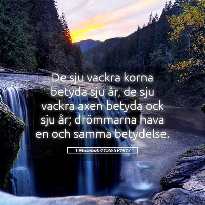 Picture 05 - 1 Mosebok 41:26 SV1917 - De sju vackra korna betyda sju år, de sju vackra - Bible Verse Picture