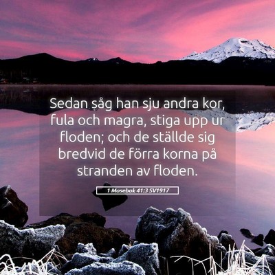 Picture 05 - 1 Mosebok 41:3 SV1917 - Sedan såg han sju andra kor, fula och magra, - Bible Verse Picture