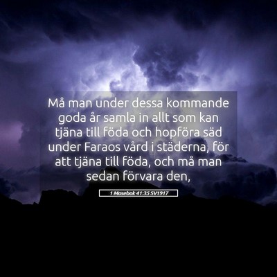 Picture 05 - 1 Mosebok 41:35 SV1917 - Må man under dessa kommande goda år samla in - Bible Verse Picture
