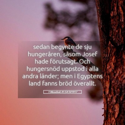 Picture 05 - 1 Mosebok 41:54 SV1917 - sedan begynte de sju hungeråren, såsom Josef - Bible Verse Picture