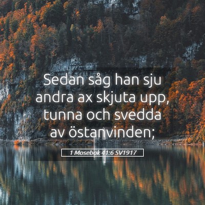 Picture 05 - 1 Mosebok 41:6 SV1917 - Sedan såg han sju andra ax skjuta upp, tunna och - Bible Verse Picture