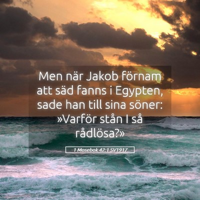 Picture 05 - 1 Mosebok 42:1 SV1917 - Men när Jakob förnam att säd fanns i Egypten, - Bible Verse Picture
