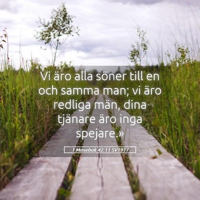 Picture 05 - 1 Mosebok 42:11 SV1917 - Vi äro alla söner till en och samma man; vi - Bible Verse Picture