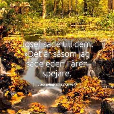 Picture 05 - 1 Mosebok 42:14 SV1917 - Josef sade till dem: »Det är såsom jag sade - Bible Verse Picture
