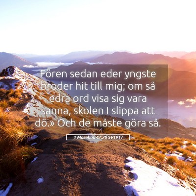 Picture 05 - 1 Mosebok 42:20 SV1917 - Fören sedan eder yngste broder hit till mig; om - Bible Verse Picture