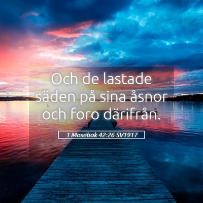 Picture 05 - 1 Mosebok 42:26 SV1917 - Och de lastade säden på sina åsnor och foro - Bible Verse Picture