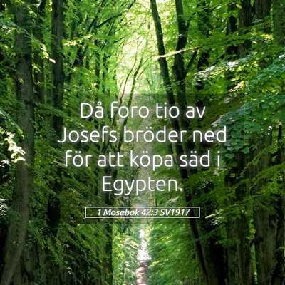 Picture 05 - 1 Mosebok 42:3 SV1917 - Då foro tio av Josefs bröder ned för att köpa - Bible Verse Picture