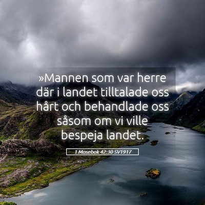 Picture 05 - 1 Mosebok 42:30 SV1917 - »Mannen som var herre där i landet tilltalade - Bible Verse Picture