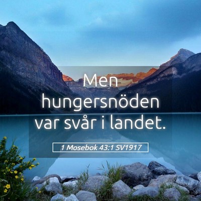 Picture 05 - 1 Mosebok 43:1 SV1917 - Men hungersnöden var svår i - Bible Verse Picture
