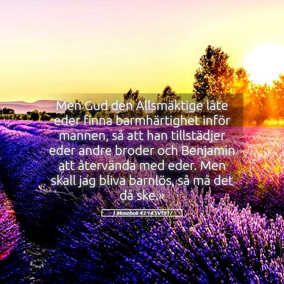 Picture 05 - 1 Mosebok 43:14 SV1917 - Men Gud den Allsmäktige låte eder finna - Bible Verse Picture