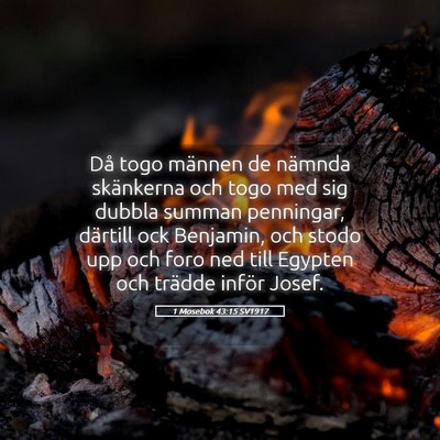 Picture 05 - 1 Mosebok 43:15 SV1917 - Då togo männen de nämnda skänkerna och togo - Bible Verse Picture