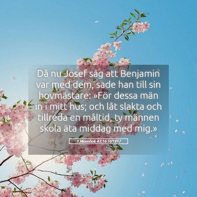 Picture 05 - 1 Mosebok 43:16 SV1917 - Då nu Josef såg att Benjamin var med dem, sade - Bible Verse Picture