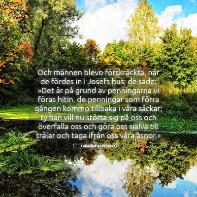 Picture 05 - 1 Mosebok 43:18 SV1917 - Och männen blevo förskräckta, när de fördes - Bible Verse Picture