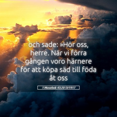 Picture 05 - 1 Mosebok 43:20 SV1917 - och sade: »Hör oss, herre. När vi förra - Bible Verse Picture
