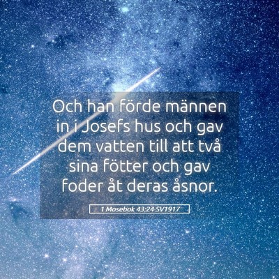 Picture 05 - 1 Mosebok 43:24 SV1917 - Och han förde männen in i Josefs hus och gav - Bible Verse Picture