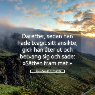 Picture 05 - 1 Mosebok 43:31 SV1917 - Därefter, sedan han hade tvagit sitt ansikte, - Bible Verse Picture