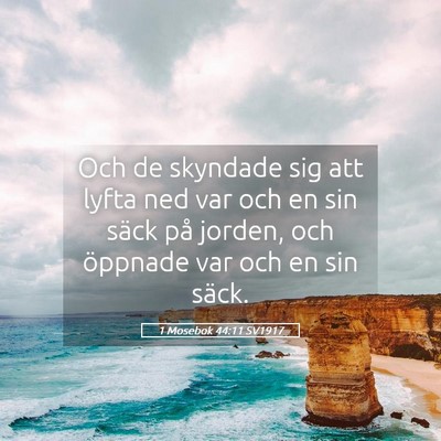 Picture 05 - 1 Mosebok 44:11 SV1917 - Och de skyndade sig att lyfta ned var och en sin - Bible Verse Picture