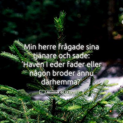 Picture 05 - 1 Mosebok 44:19 SV1917 - Min herre frågade sina tjänare och sade: 'Haven - Bible Verse Picture