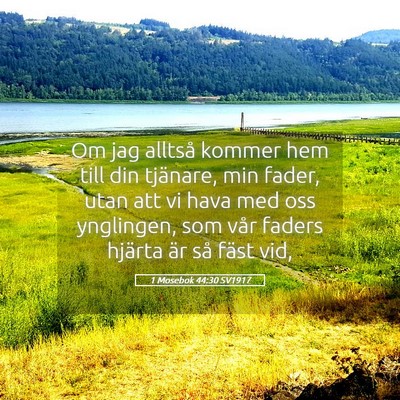Picture 05 - 1 Mosebok 44:30 SV1917 - Om jag alltså kommer hem till din tjänare, min - Bible Verse Picture