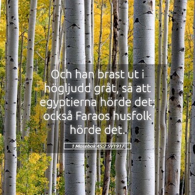 Picture 05 - 1 Mosebok 45:2 SV1917 - Och han brast ut i högljudd gråt, så att - Bible Verse Picture