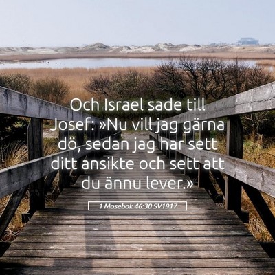Picture 05 - 1 Mosebok 46:30 SV1917 - Och Israel sade till Josef: »Nu vill jag gärna - Bible Verse Picture