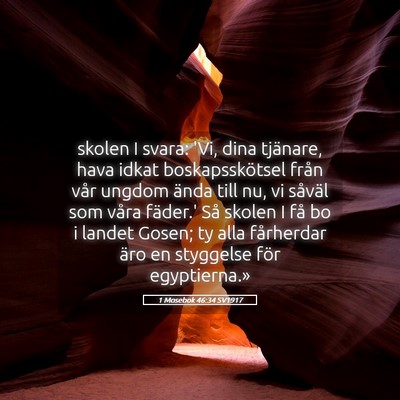 Picture 05 - 1 Mosebok 46:34 SV1917 - skolen I svara: 'Vi, dina tjänare, hava idkat - Bible Verse Picture