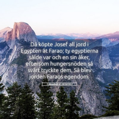 Picture 05 - 1 Mosebok 47:20 SV1917 - Då köpte Josef all jord i Egypten åt Farao; ty - Bible Verse Picture