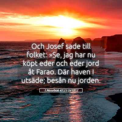 Picture 05 - 1 Mosebok 47:23 SV1917 - Och Josef sade till folket: »Se, jag har nu - Bible Verse Picture