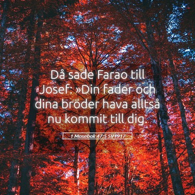 Picture 05 - 1 Mosebok 47:5 SV1917 - Då sade Farao till Josef: »Din fader och dina - Bible Verse Picture