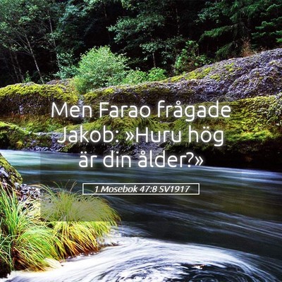 Picture 05 - 1 Mosebok 47:8 SV1917 - Men Farao frågade Jakob: »Huru hög är din - Bible Verse Picture