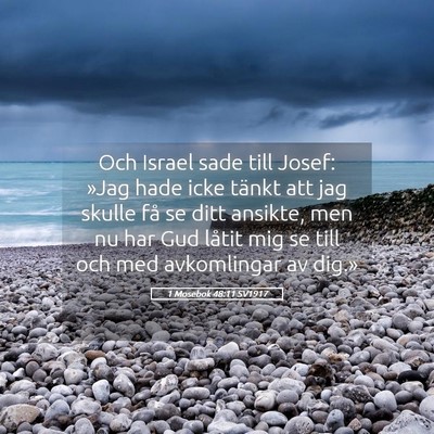 Picture 05 - 1 Mosebok 48:11 SV1917 - Och Israel sade till Josef: »Jag hade icke - Bible Verse Picture