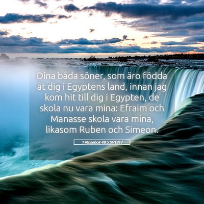 Picture 05 - 1 Mosebok 48:5 SV1917 - Dina båda söner, som äro födda åt dig i - Bible Verse Picture