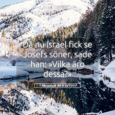 Picture 05 - 1 Mosebok 48:8 SV1917 - Då nu Israel fick se Josefs söner, sade han: - Bible Verse Picture