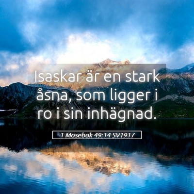 Picture 05 - 1 Mosebok 49:14 SV1917 - Isaskar är en stark åsna, som ligger i ro i sin - Bible Verse Picture