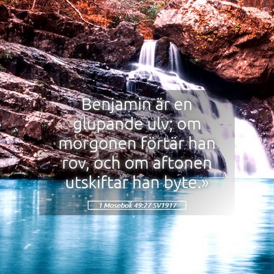 Picture 05 - 1 Mosebok 49:27 SV1917 - Benjamin är en glupande ulv; om morgonen - Bible Verse Picture